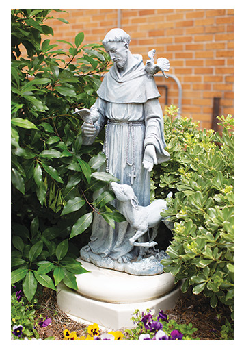 St. Francis Statue